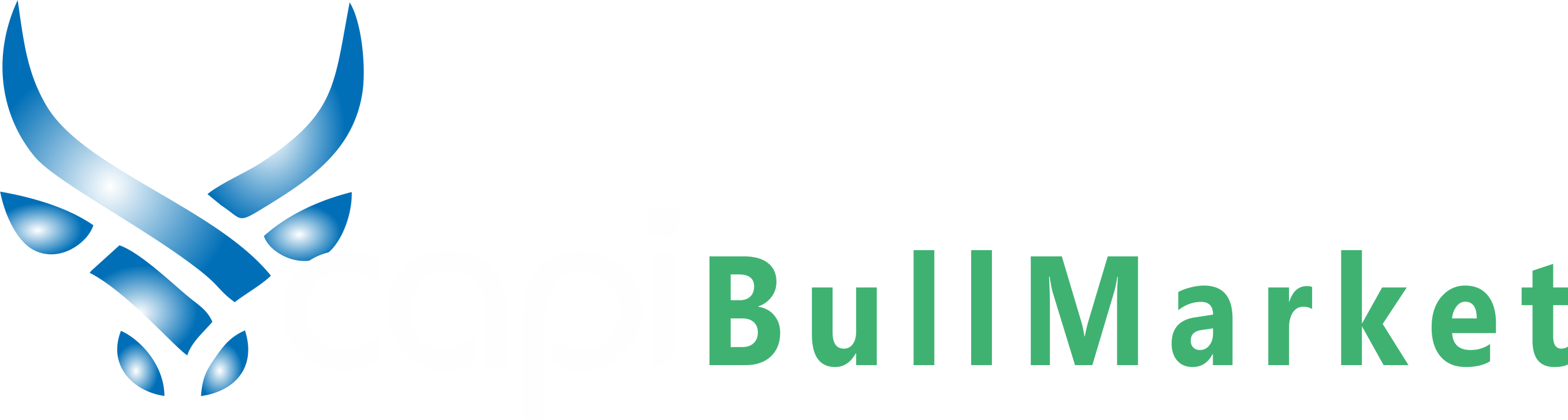 CapiBullMarket